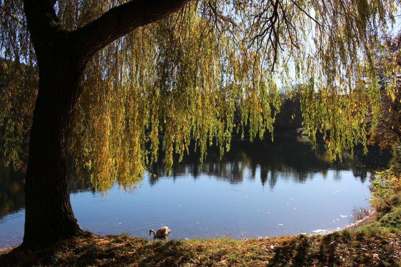 Ferienwohnungen Eifelstuben Mit Charme - Am See, Nahe Burg Ulmen Exterior photo